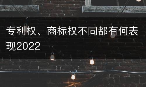 专利权、商标权不同都有何表现2022