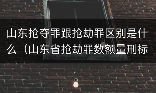 山东抢夺罪跟抢劫罪区别是什么（山东省抢劫罪数额量刑标准）