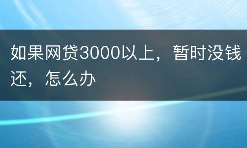 如果网贷3000以上，暂时没钱还，怎么办