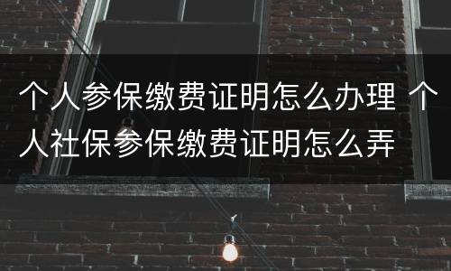 个人参保缴费证明怎么办理 个人社保参保缴费证明怎么弄