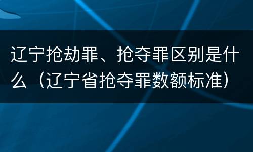 辽宁抢劫罪、抢夺罪区别是什么（辽宁省抢夺罪数额标准）