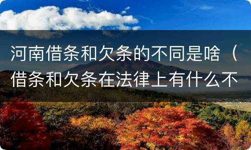 河南借条和欠条的不同是啥（借条和欠条在法律上有什么不一样的地方）