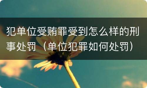 犯单位受贿罪受到怎么样的刑事处罚（单位犯罪如何处罚）