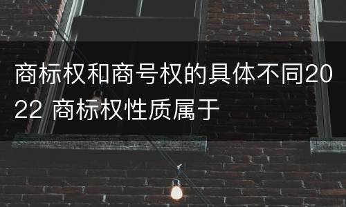 商标权和商号权的具体不同2022 商标权性质属于