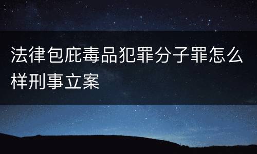 法律包庇毒品犯罪分子罪怎么样刑事立案