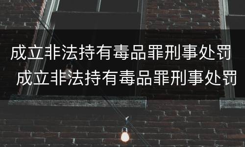 成立非法持有毒品罪刑事处罚 成立非法持有毒品罪刑事处罚案例