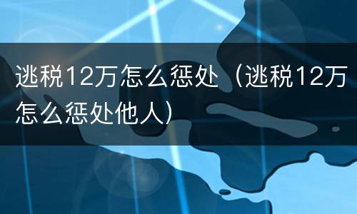 逃税12万怎么惩处（逃税12万怎么惩处他人）