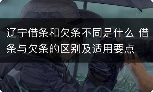 辽宁借条和欠条不同是什么 借条与欠条的区别及适用要点