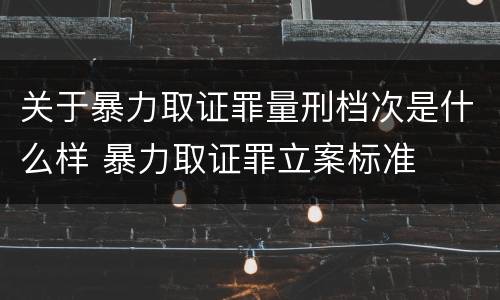 关于暴力取证罪量刑档次是什么样 暴力取证罪立案标准