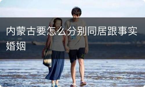 内蒙古要怎么分别同居跟事实婚姻