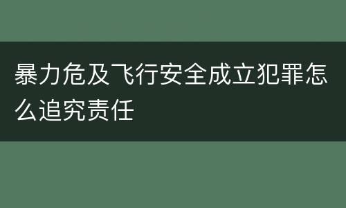 暴力危及飞行安全成立犯罪怎么追究责任