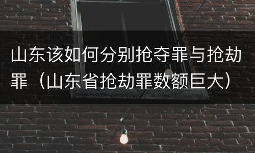 山东该如何分别抢夺罪与抢劫罪（山东省抢劫罪数额巨大）