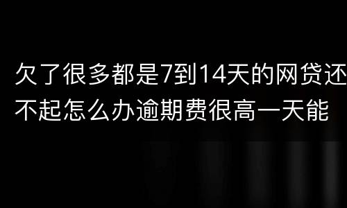 欠了很多都是7到14天的网贷还不起怎么办逾期费很高一天能张几百