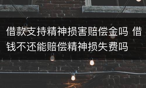 借款支持精神损害赔偿金吗 借钱不还能赔偿精神损失费吗