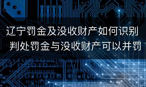 辽宁罚金及没收财产如何识别 判处罚金与没收财产可以并罚吗