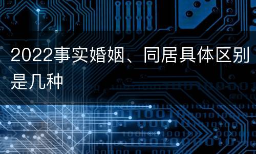 2022事实婚姻、同居具体区别是几种