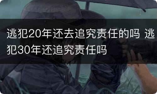 逃犯20年还去追究责任的吗 逃犯30年还追究责任吗