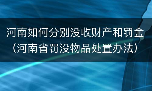 河南如何分别没收财产和罚金（河南省罚没物品处置办法）