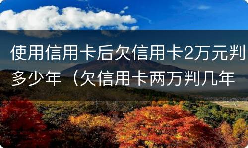 使用信用卡后欠信用卡2万元判多少年（欠信用卡两万判几年）