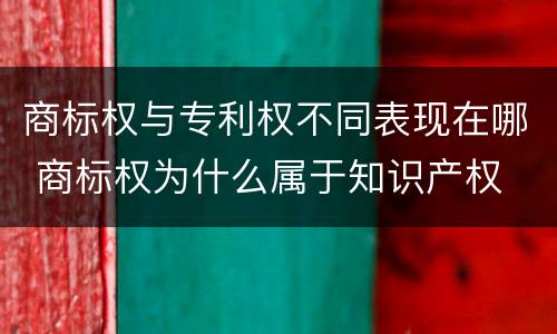 商标权与专利权不同表现在哪 商标权为什么属于知识产权