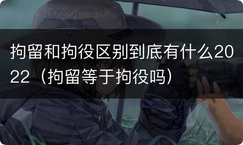 拘留和拘役区别到底有什么2022（拘留等于拘役吗）