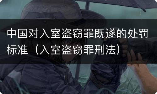 中国对入室盗窃罪既遂的处罚标准（入室盗窃罪刑法）