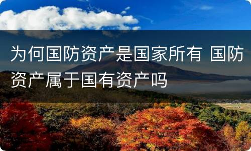 为何国防资产是国家所有 国防资产属于国有资产吗