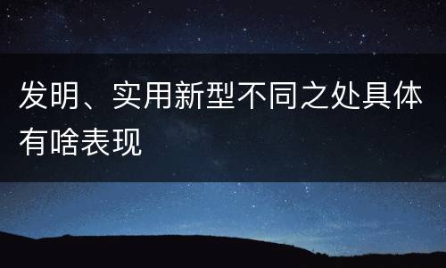 发明、实用新型不同之处具体有啥表现