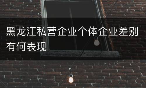 黑龙江私营企业个体企业差别有何表现