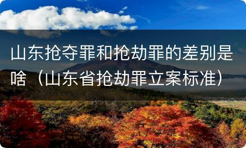 山东抢夺罪和抢劫罪的差别是啥（山东省抢劫罪立案标准）