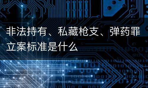 非法持有、私藏枪支、弹药罪立案标准是什么