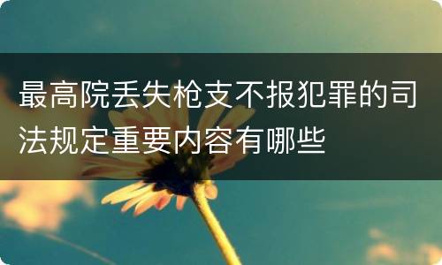 最高院丢失枪支不报犯罪的司法规定重要内容有哪些