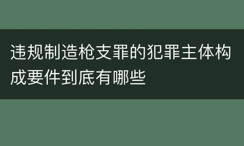 违规制造枪支罪的犯罪主体构成要件到底有哪些