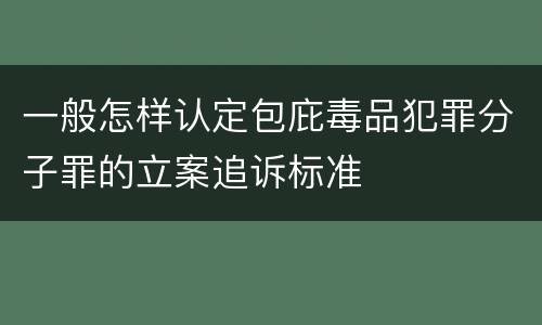 一般怎样认定包庇毒品犯罪分子罪的立案追诉标准