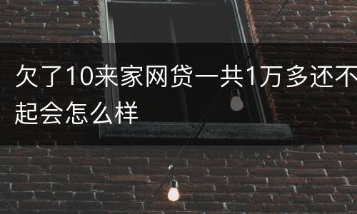 欠了10来家网贷一共1万多还不起会怎么样