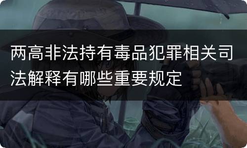 两高非法持有毒品犯罪相关司法解释有哪些重要规定