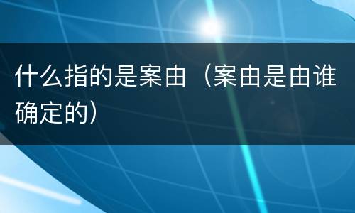 什么指的是案由（案由是由谁确定的）