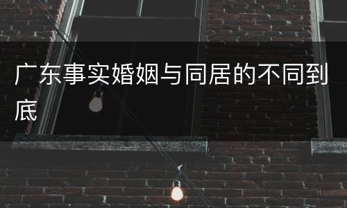 广东事实婚姻与同居的不同到底