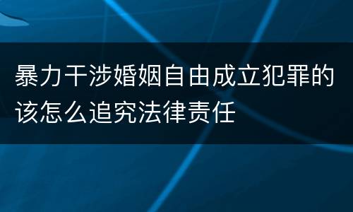 暴力干涉婚姻自由成立犯罪的该怎么追究法律责任