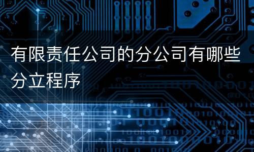 有限责任公司的分公司有哪些分立程序