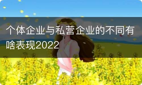 个体企业与私营企业的不同有啥表现2022