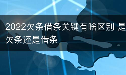 2022欠条借条关键有啥区别 是欠条还是借条