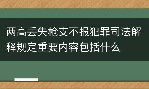 两高丢失枪支不报犯罪司法解释规定重要内容包括什么