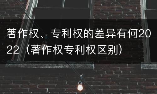 著作权、专利权的差异有何2022（著作权专利权区别）