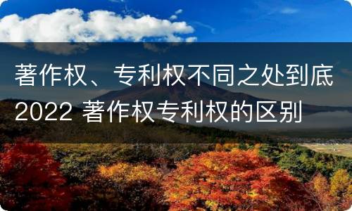 著作权、专利权不同之处到底2022 著作权专利权的区别