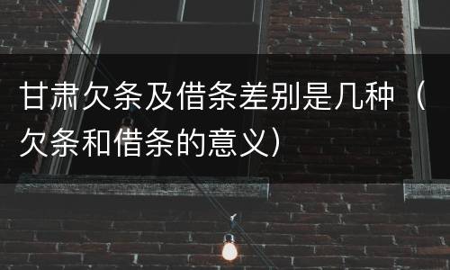 甘肃欠条及借条差别是几种（欠条和借条的意义）