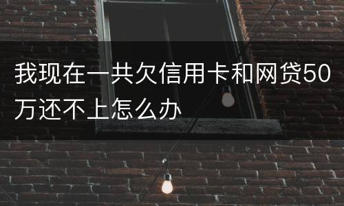 我现在一共欠信用卡和网贷50万还不上怎么办