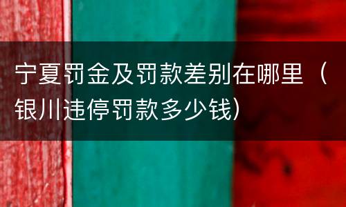 宁夏罚金及罚款差别在哪里（银川违停罚款多少钱）