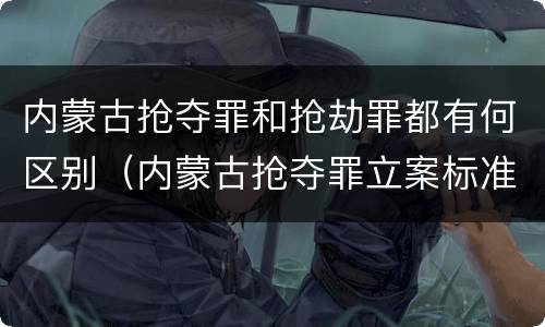 内蒙古抢夺罪和抢劫罪都有何区别（内蒙古抢夺罪立案标准）