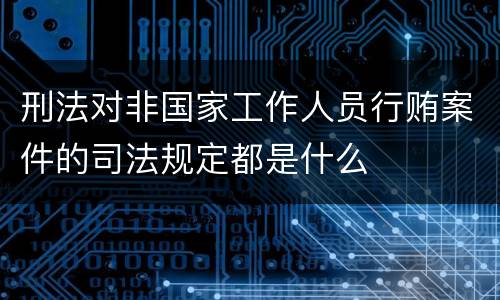 刑法对非国家工作人员行贿案件的司法规定都是什么